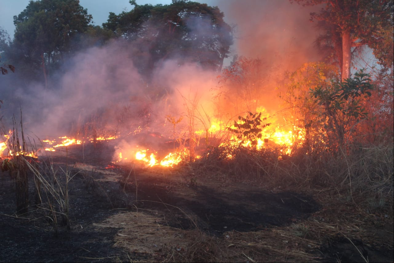 Governo decreta emergência ambiental por 60 dias para intensificar combate aos incêndios florestais